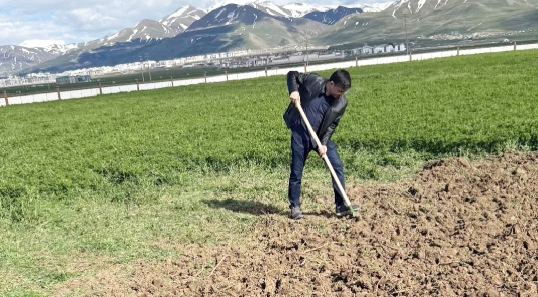 Halkın İçinden Bir Başhekim.. Başhekim Fakirullahoğlu, Makamda da Tarlada da Çalışıyor